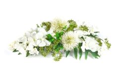 White Beauty