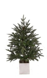 Mix PE/PVE Tree-3'