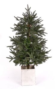 Mix PE/PVE Tree-4'
