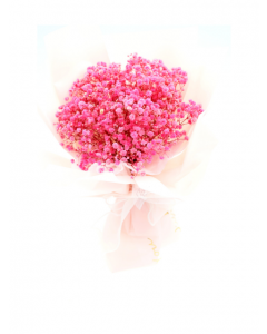 Hand Bouquet-Pink Baby's Breath