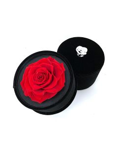 Cylinder Rose Box-Red
