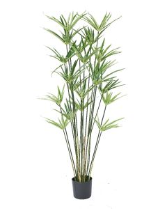 Cyperus Plant Potted-43"