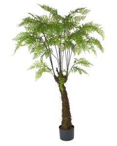 Fern Tree Potted-47" Ht