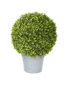 Boxwood Ball Potted-26"
